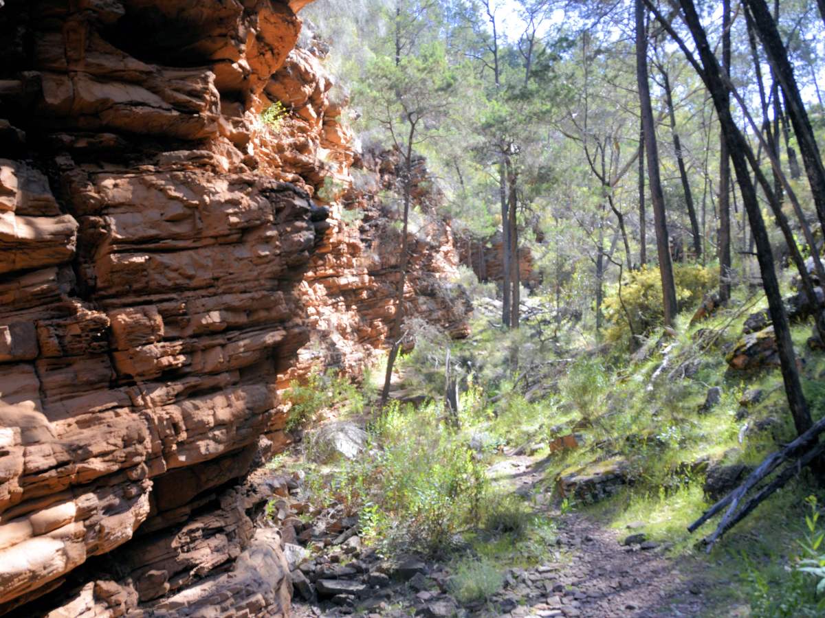 Freaky Friday Adventure–Alligator Gorge