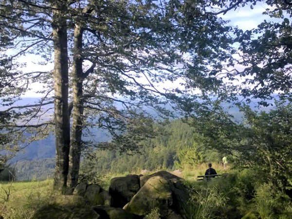 Friday Travel with a tiny bit of Family History–The Black Forest and Beyond into&nbsp;France