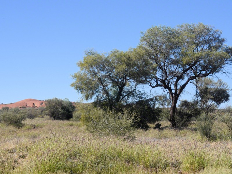 Travel with the T-Team Next Gen–Return to&nbsp;Adelaide