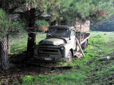 100-Word Challenge–The Austin